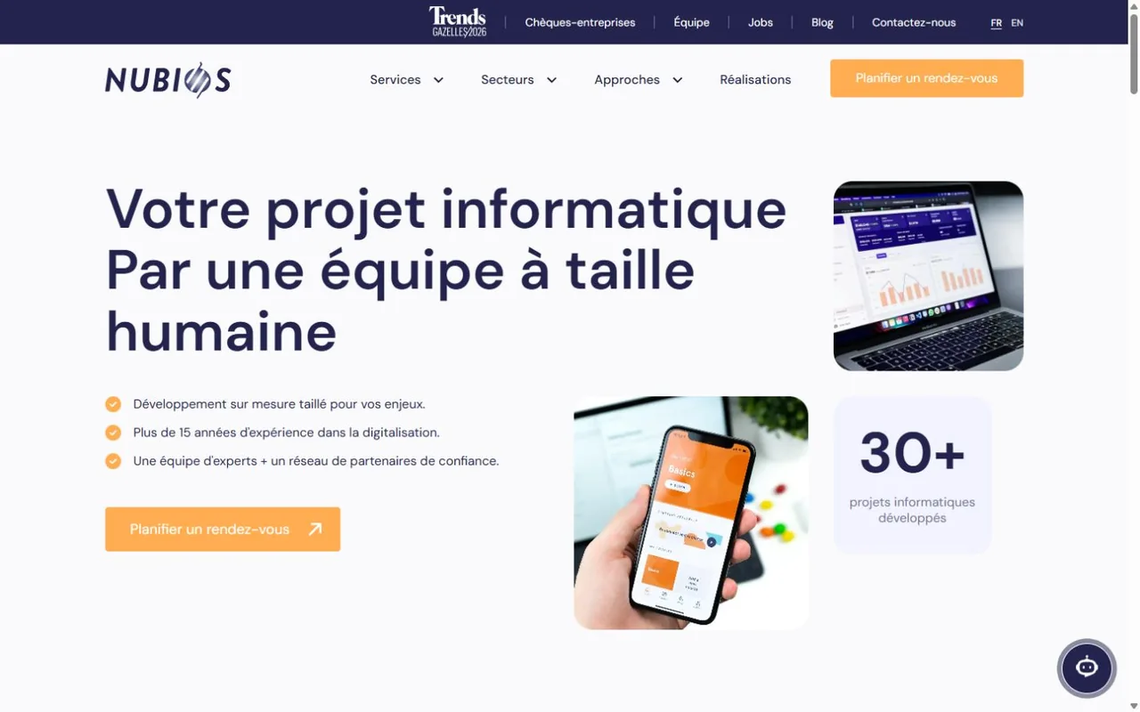 Website screenshot of Nubios