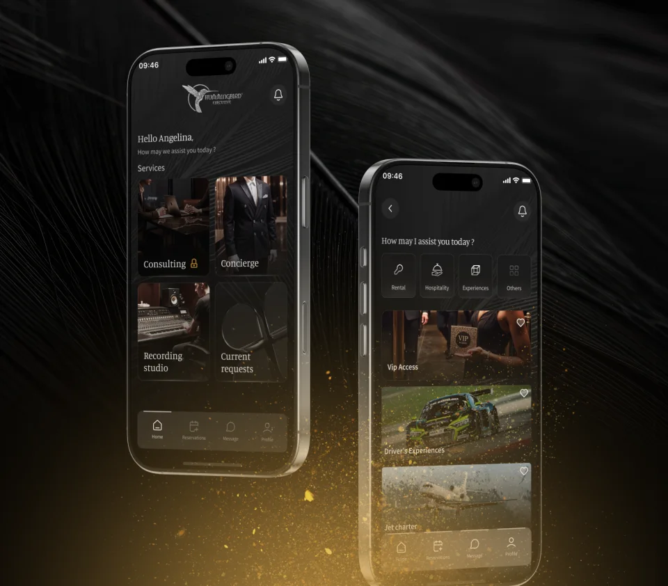 Visuel du projet Hummingbird